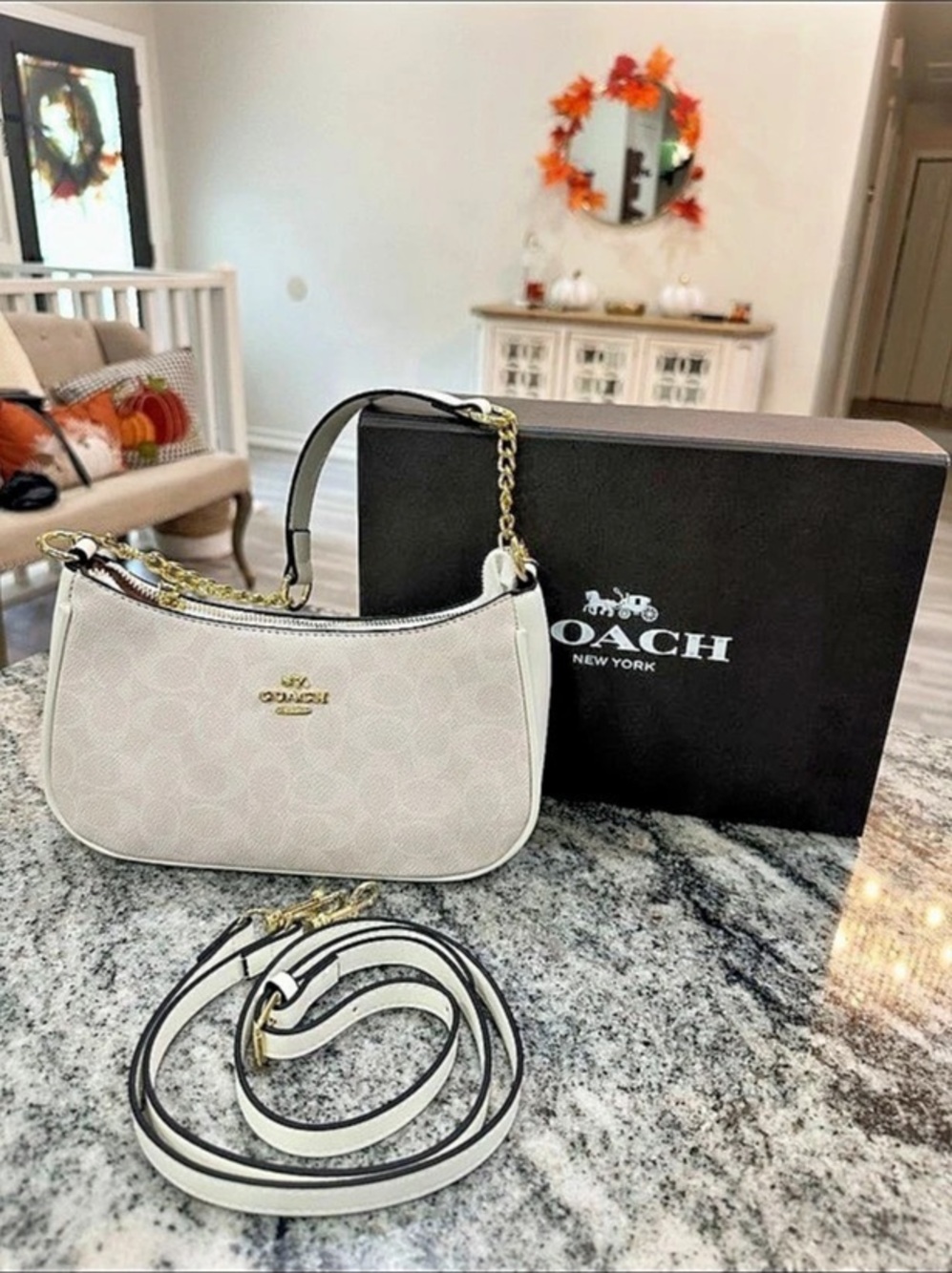 Coach Teri Shoulder Bag in Signature Canvas White & Brown